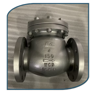 Check Valves